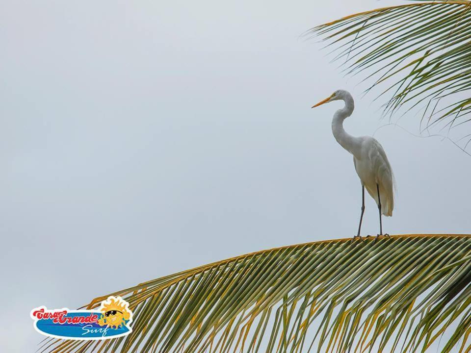 Casa Grande Surf Hotel Guachaca Bagian luar foto
